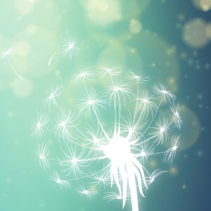 Mindfulness